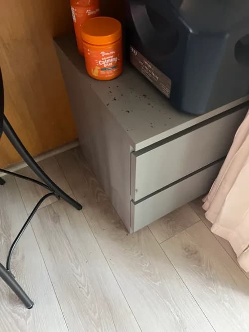 Taylor Maid Professional Cleaning Services - Photo 5