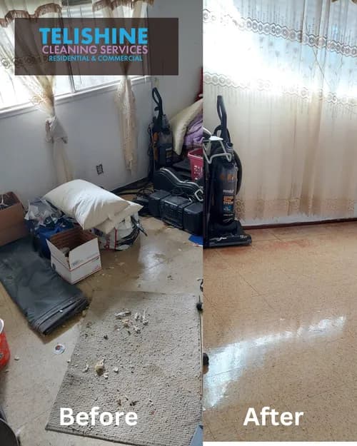 Telishine Cleaning Services