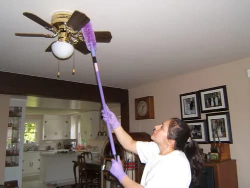 Tender Loving Care House Cleaning Service