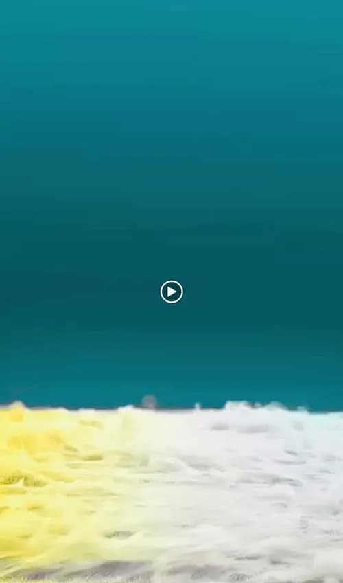 Teresa's Cleaning Service - Photo 2