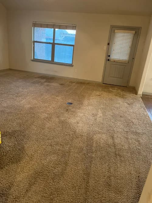 The Best Cleaning - Photo 2