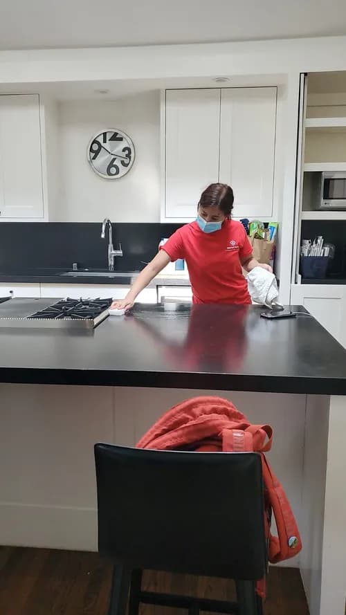 The Clean Sweep Domestic Referral Agency - Photo 4