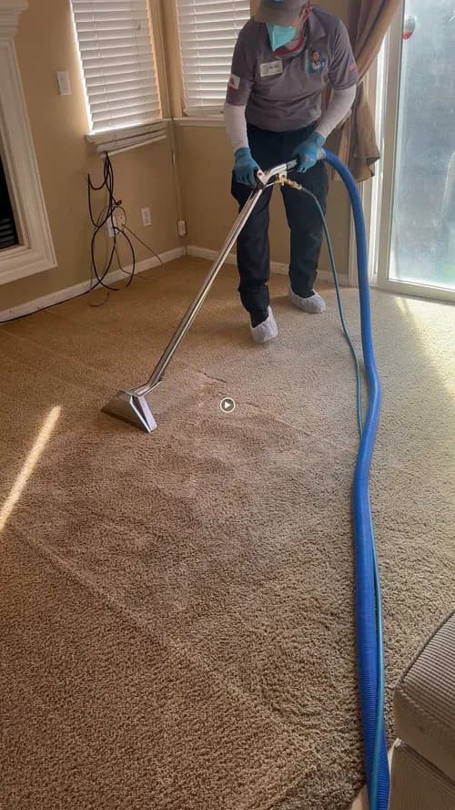 The Clean Sweep Domestic Referral Agency - Photo 5