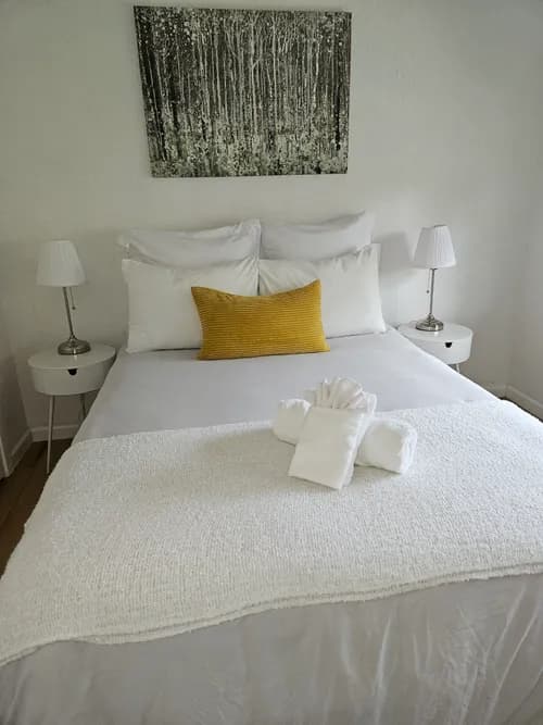 The Cleaners of Austin - Photo 2