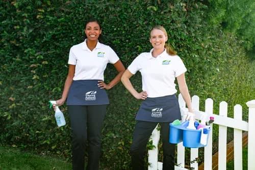 The Cleaning Authority - Arlington - Photo 1