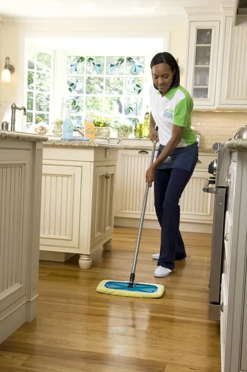 The Cleaning Authority - New Orleans