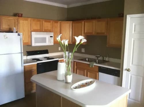 The Cleaning Executives LLC.