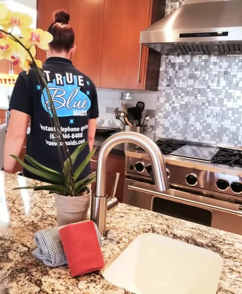 The Elite Maids - Photo 4