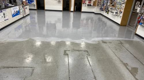 The Floor Care Professionals