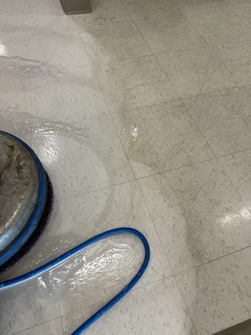 The Floor Care Professionals - Photo 4