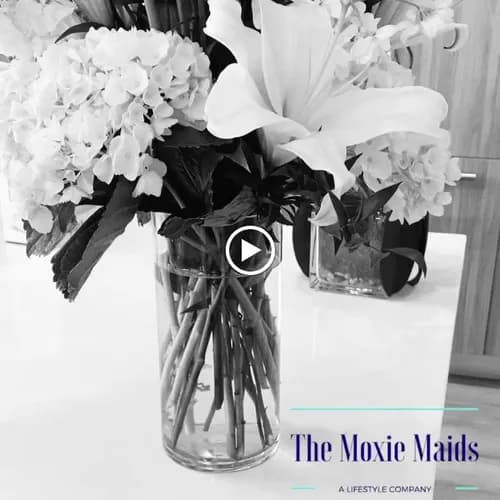 The Moxie Maids - Photo 2