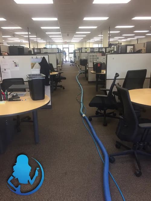 The Perfect Clean - Photo 1