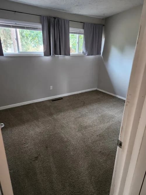 The Purge Pros - Photo 3