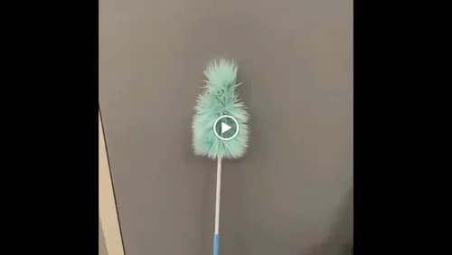 The Purple Fig Eco Cleaning Co. - Photo 3