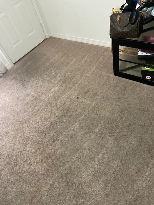 The Root Cleaning Service, LLC - Photo 1