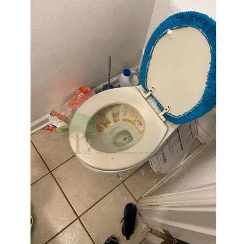 The Root Cleaning Service, LLC - Photo 3