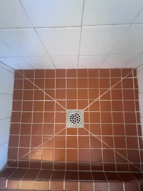 The Tidy Octopus cleaning and organizing services - Photo 2