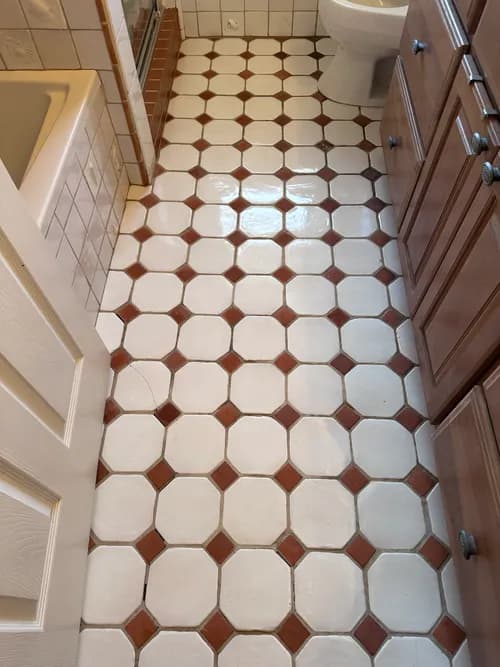 The Tidy Octopus cleaning and organizing services