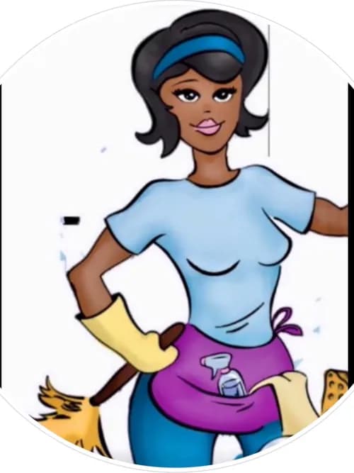 Thecleandinglady LLC