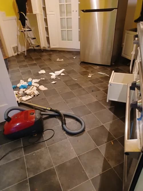 Thelmas house cleaning services - Photo 3