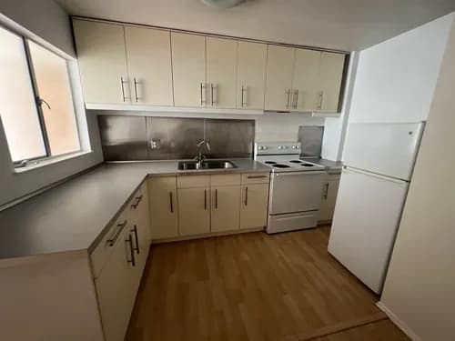 Thelmas house cleaning services - Photo 4