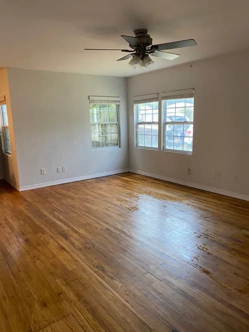 Thunder Cat Cleaning - Photo 2