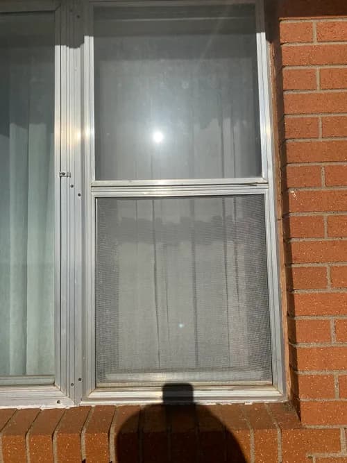 Thunder Cat Cleaning - Photo 3