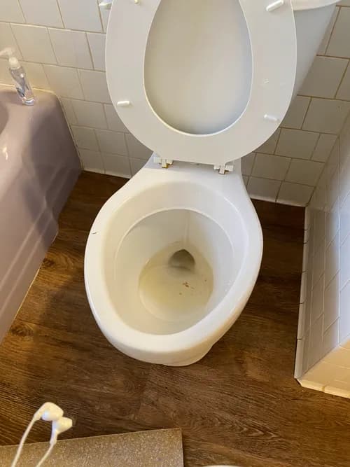 Thunder Cat Cleaning