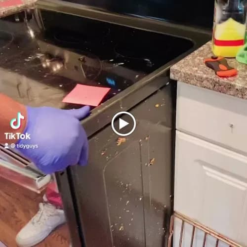 Tidy Guys LLC - Photo 3