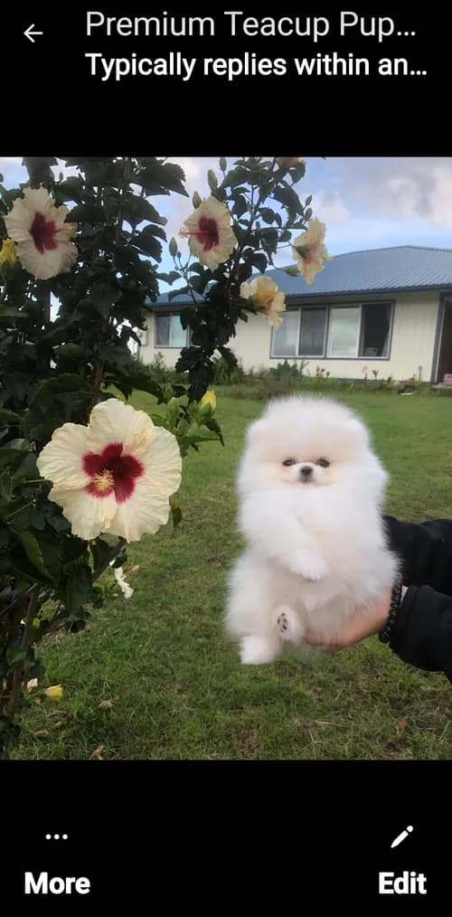 Tina's Cleaning Services