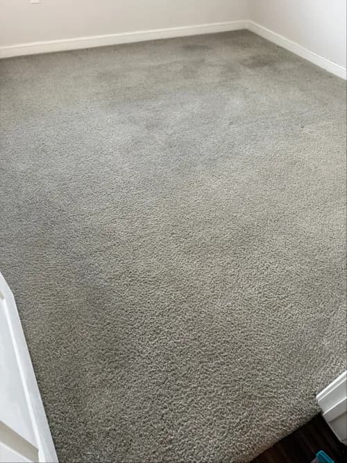 Top Tier Cleaners - Photo 4