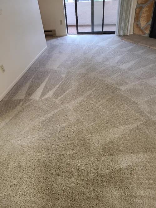 Total Green | Best Carpet Cleaning Services