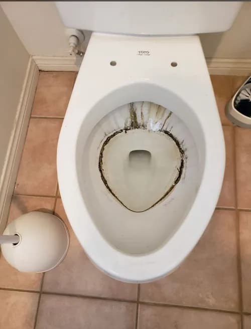 Touch By Angels Cleaning Services Inc. - Photo 3