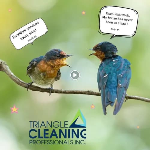 Triangle Cleaning Professionals - Photo 3
