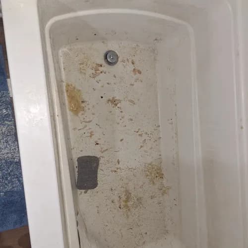 True Pro Cleaning - Photo 5