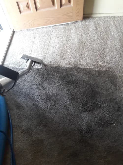 True Shine Cleaning Services LLC - Photo 2