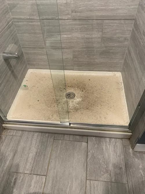 Trusted Hands Cleaning Services