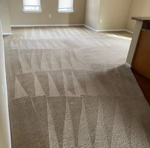 Trustworthy Cleaning Service - Photo 4