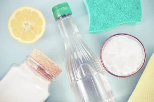 Two Chicks and a Broom - Photo 1