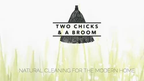 Two Chicks and a Broom - Photo 2