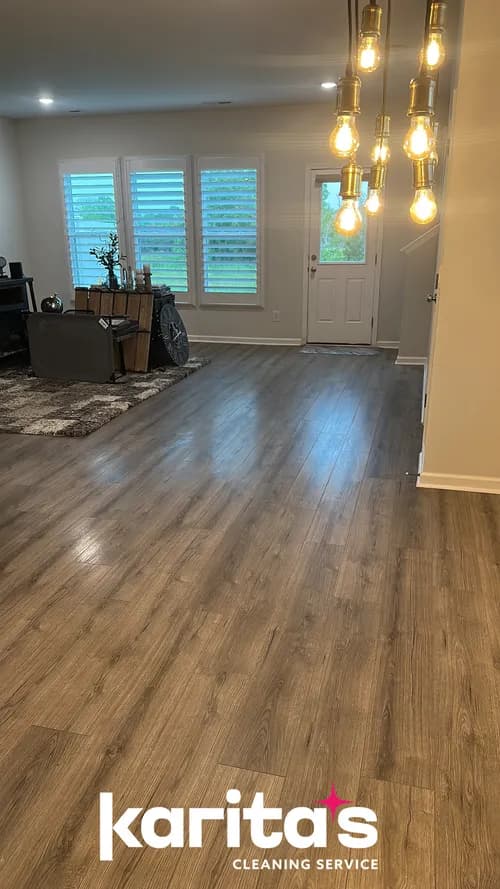 Two Sisters Maid To Clean - Photo 4