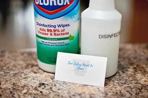 Two Sisters Maid To Clean