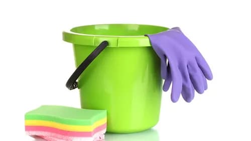 Two Sisters Maid To Clean - Photo 5