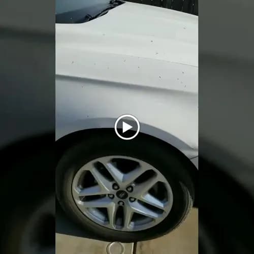 Universal Cleaning - Photo 3