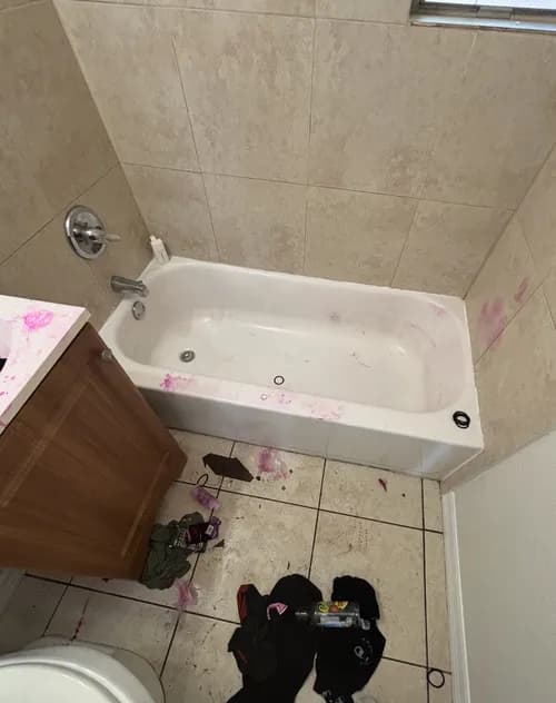 UP Cleaning Services - Residential and commercial cleaning St. Petersburg, FL | Residential Maid Service - Photo 1