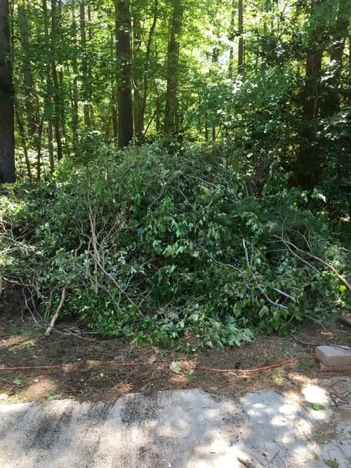 Upscale Cleaning & Concierge-Moving