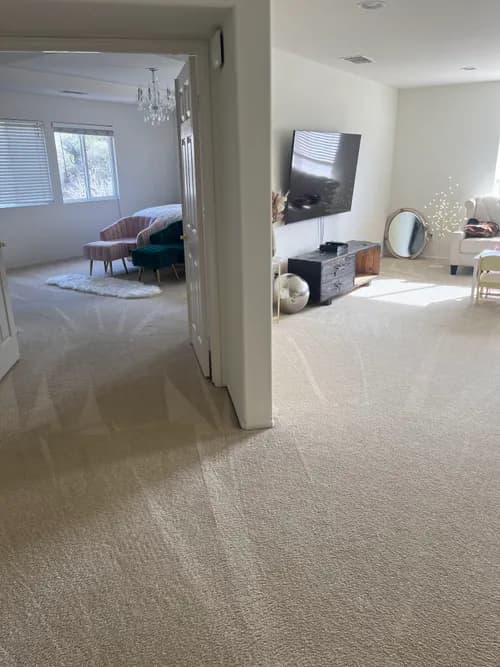 Valencia Deep Steam Carpet & Floor Cleaning
