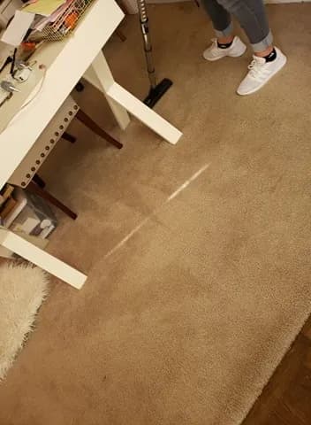 Vanessa's Maid Services - Photo 3