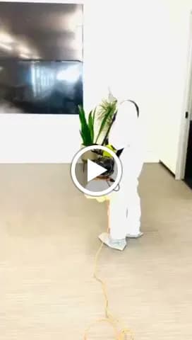 Vanguard Cleaning Systems of Las Vegas - Photo 3