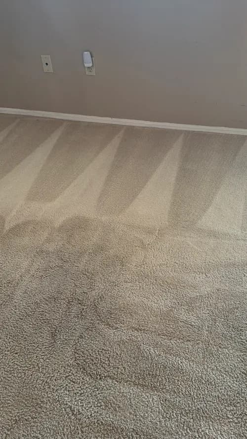 Vanguard Cleaning Systems of the Southern Valley - Photo 5